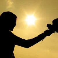 Žena, drži goluba u ruci u sjaju sunca