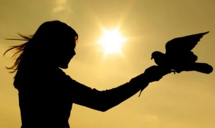 Žena, drži goluba u ruci u sjaju sunca