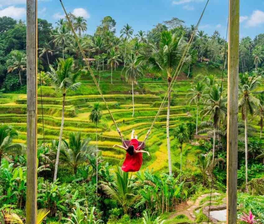 Devojka u crvenoj ljljašci. Ljulja se iznad pirinčanih polja na Baliju.