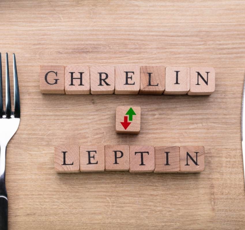 Sto na kome su pločice na kojima je ispisano grelin i leptin. Stoje na mestu tanjira, a sa strane su nož i viljuška.