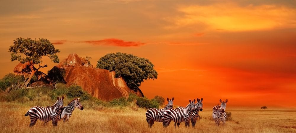 Zalazak sunca na safariju u Keniji.
