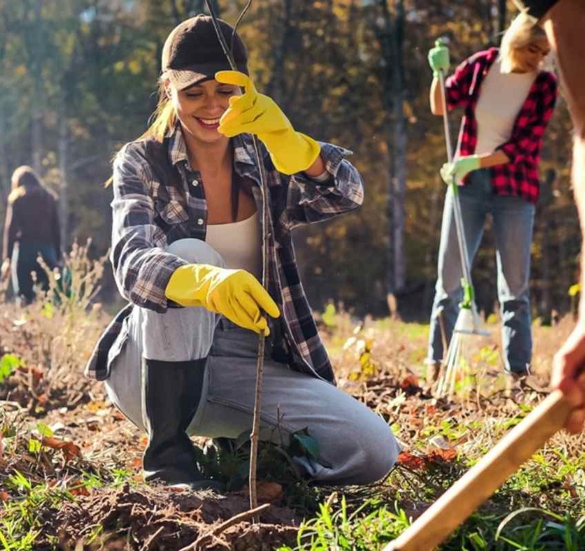 Srećna žena sadi drvo u jesen.