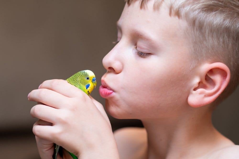 Dečak ljubi papagaja.