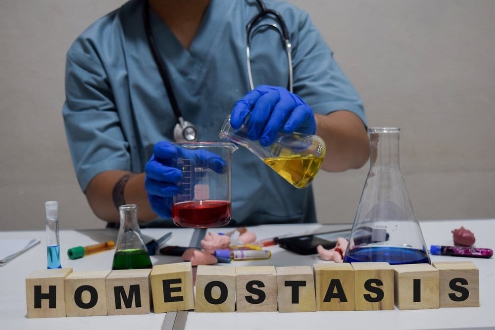 Metaforična ilustracija homeostaze. Doktor u aboratoriji mućka hemikalije, na stolu su mali modeli organa.