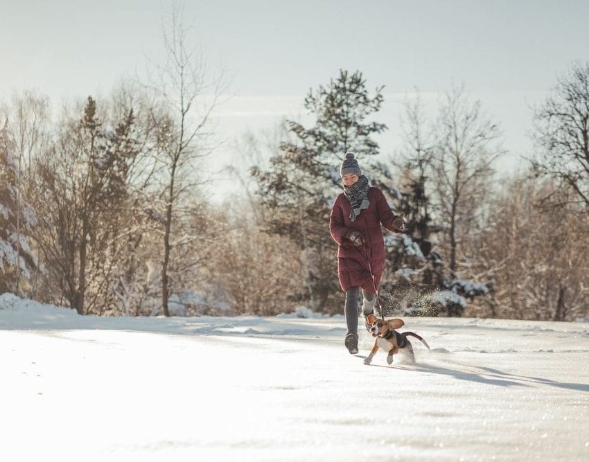 Zimsko vrme, park pod snegom. Ženau kaputu, šal. kapa, šeta kuče.