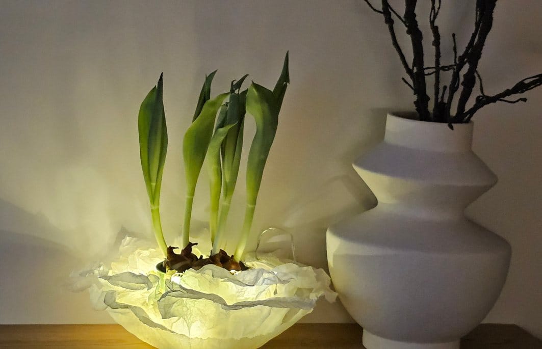 Činija sa cvećem na komodi u dnevnoj sobi. Obložena je papirom za pečenje i svetiljkama.