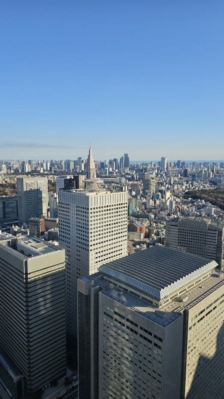 Pogled sa observatorije u Tokiju.