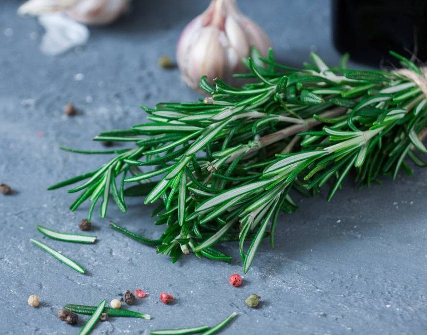 Ruzmarin, beli luk, biber.