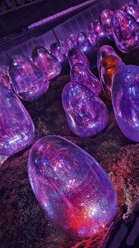 Ljubičasti eksponati u teamlab muzeju u Tokiu.