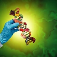 Ruka naučnika u belom mantilu, sa plavim rukavicama, u rukama drži model DNK koji je napravljen od raznih namirnica.. Pozdadina je zelena.