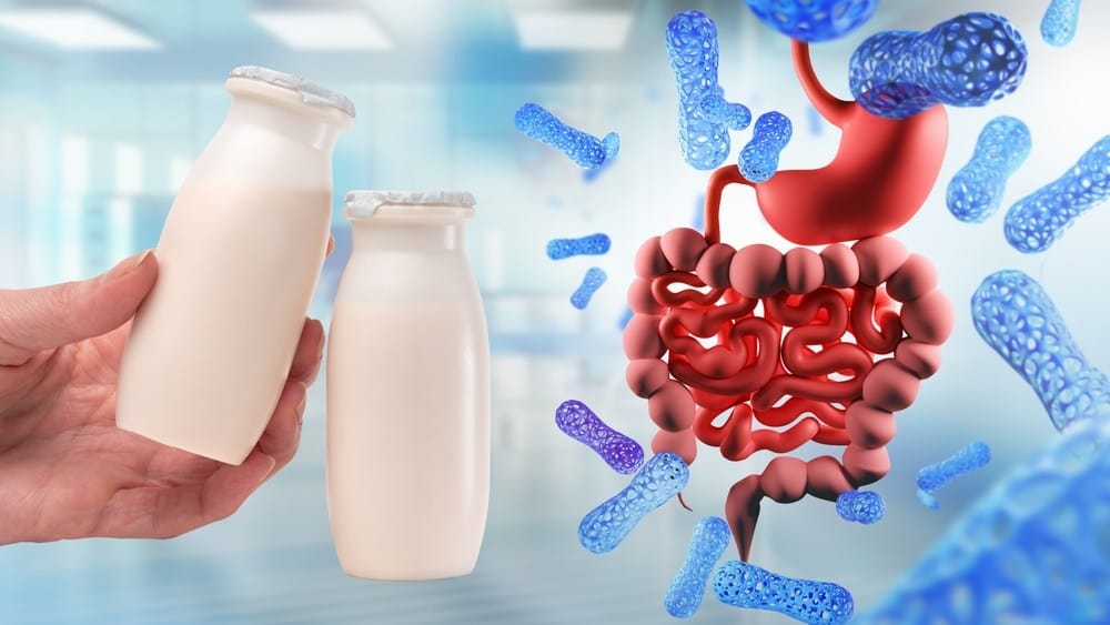 Jogurt-prirodni probiotik. Dobija se fermentacijom mleka u prisustvu korisnih bakterija. Okolo su ilustracije bakterija kako se one vid epod mikroskopom, kao i crtež tankog creva i kolona.