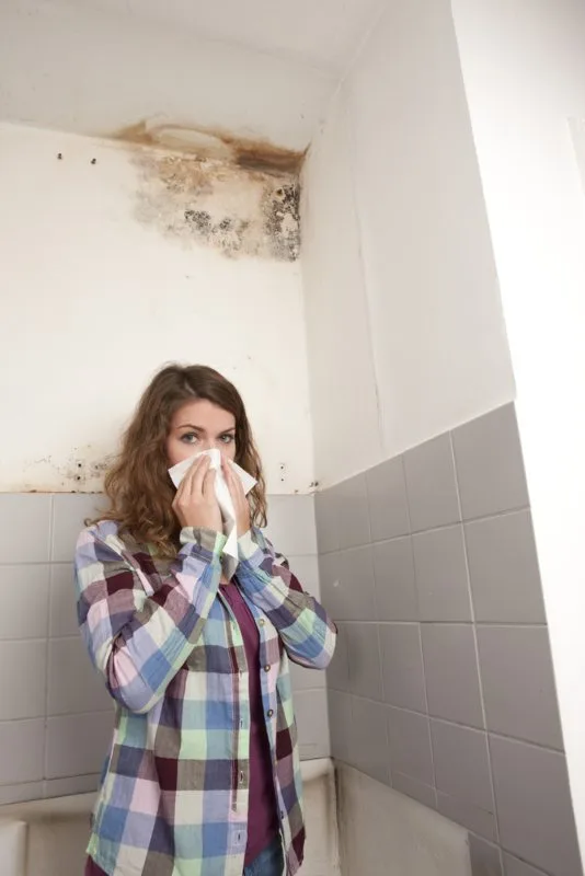 Šta znamo o uticaju buđi na zdravlje ljudi? Šta znamo o uticaju buđi na zdravlje ljudi?