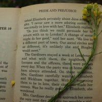 Otvorena knjiga Gordost i Predrasude sa presovanim cvetom me]u stranicama.