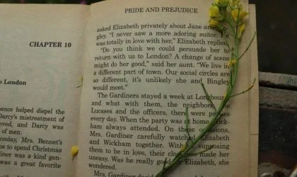 Otvorena knjiga Gordost i Predrasude sa presovanim cvetom me]u stranicama.