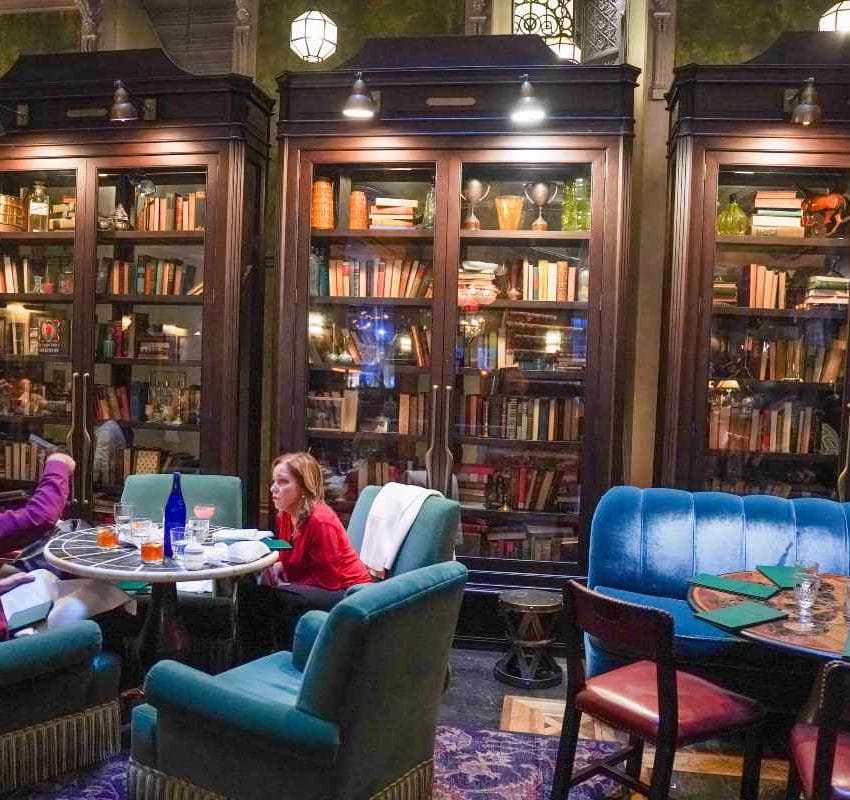 Prijatan salon hotela sa bibliotekom.