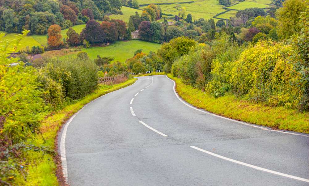 Prazan put kroz prirodu.