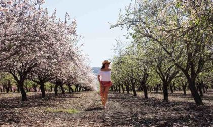 Fit žena šeta kroz procvetali trešnjik.