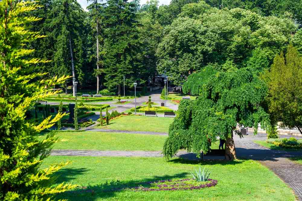 Park, zelenilo u banji.
