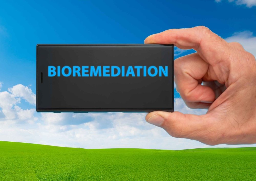 NAtpis bioremedijacija, ispod se vidi lepo zatravljeno zemljište.