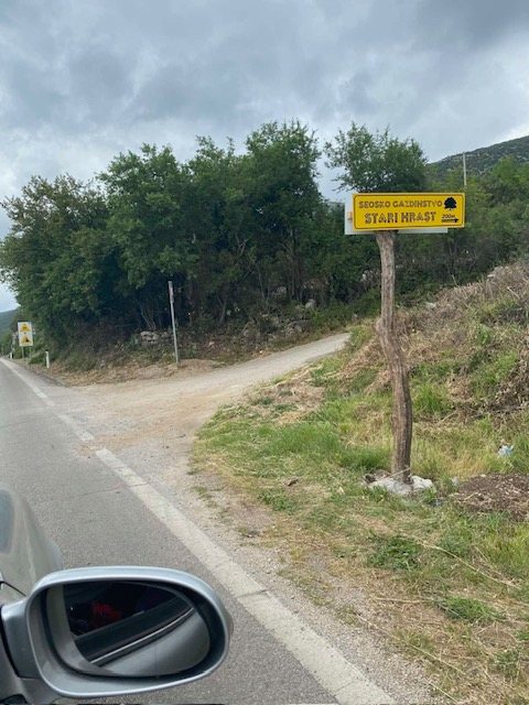 Žuti putokaz za domaćinstvo Stari hrast.