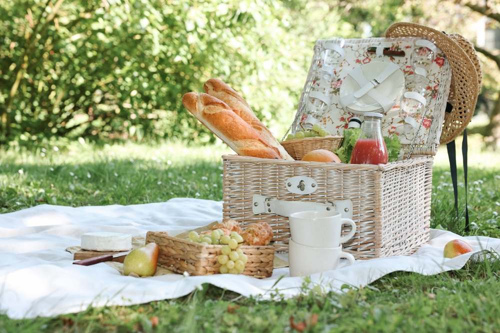 Piknik u prirodi, korpa sa hranom i pi'em na ćebetu na travi